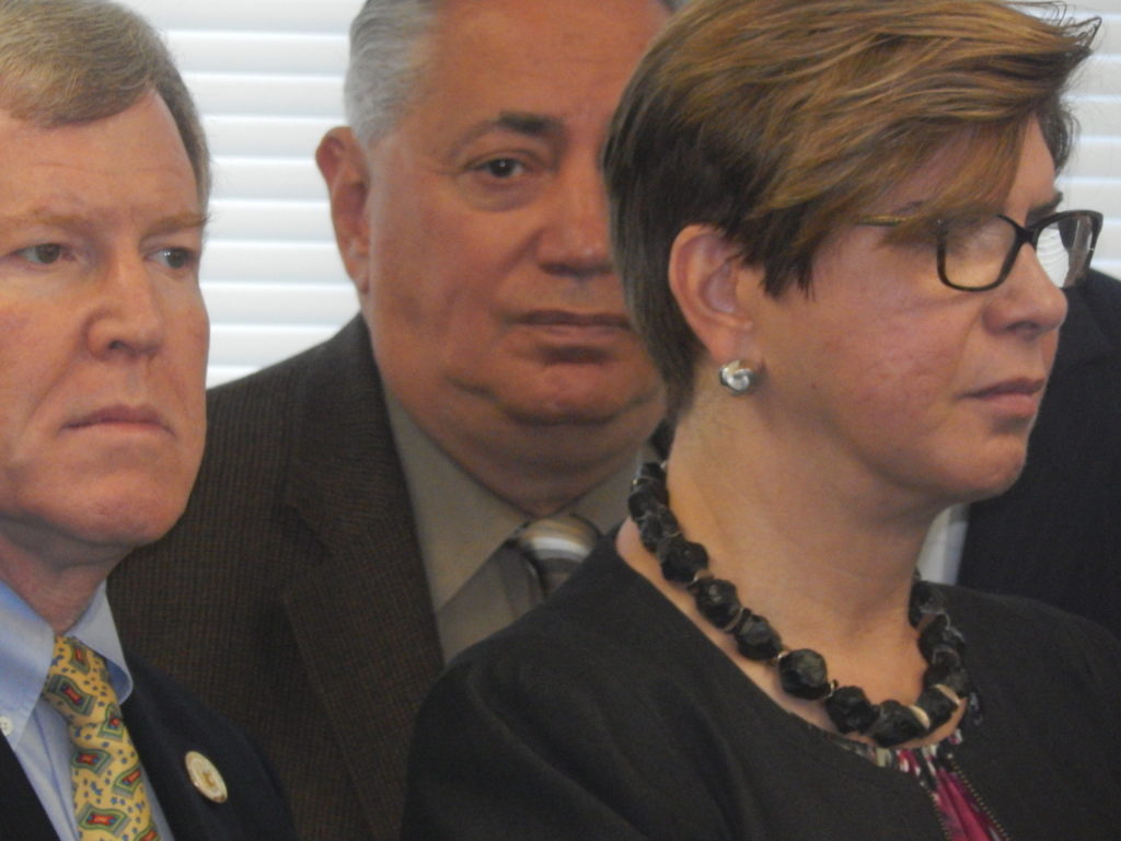 State Senator Nellie Pou (D-35).