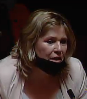 Assemblywoman Carol Murphy: "This bill is to strictly give a borrowing option to the administration."